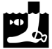 15541006